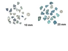 African Abalone Pieces: Blue (kg) (220-TP-XX-BL) 10UB