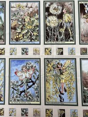 OOP Michael Miller Flower Fairies Sunshine Fabric Panel 2008 Cicely Mary Barker