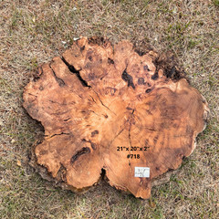 Live Edge Olive Wood Cookies for Woodworking, Crafting, Resin Table