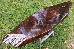 Last One! 2800 Year Old Carbon Dated Sofa Table Desk Sinker Cypress Wood TopOnly
