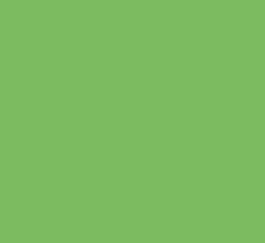 Reusche Lead & Cadmium Free Paint Apple Green 53R004 Glass Paint 1oz