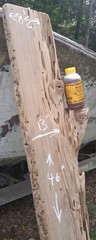 1 1/2″ THICK Louisiana Pecky Sinker Cypress Craft Wood Plank Shelf Returns OK!