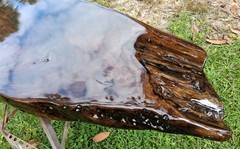 Last One! 2800 Year Old Carbon Dated Sofa Table Desk Sinker Cypress Wood TopOnly