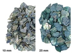 African Abalone Pieces: Blue (kg) (220-TP-XX-BL) 10UB