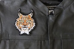 Lynx Cat Small Patch – 3.6×4.5 inch – P6338
