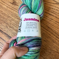 Koigu Yarn Jasmine 100% Merino Wool Multicolor Skein Green Pink DK Light Worsted