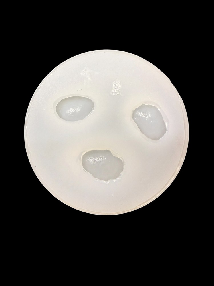 Handmade Abalone Shell Mold For Resin (Small Set)