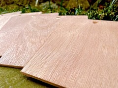 Oliva Spanish Cedar Plywood Box Lids, 5 x 5 inches, 5 Pieces