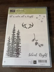 Stampin Up Cling Mount Stamp Set Wonderland & Technique Tuesday Christmas Stamps