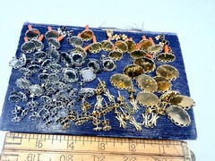 37 Pairs Vintage Gold & Silver Tone Earrings Blanks Settings Bezel Findings