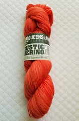 Rainbow Beach Yarn Queensland Collection 100% Wool Sport Weight Superwash Orange