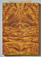 Stabilized Rich Golden Maple Lace Burl scales #4991, 6 1/8″ x 2 1/8″ x 7/16″