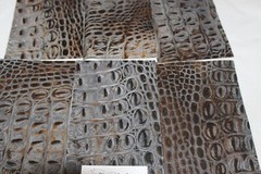 Beautiful TITAN CROC Print Gray and Black Croc Print 5″ x 8″ P6