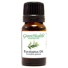 10 ml Eucalyptus Globulus Essential Oil (100% Pure & Natural) – GreenHealth