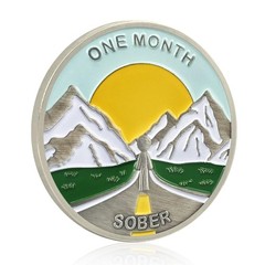 1 Month Sobriety Coin AA Chips and Medallions One Month Sobriety Chip 30 Days…