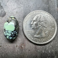 Oval 9×15 Cabochon Professionally Cut In Peacock Turquoise Natural Backed