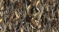 WATER & WEATHER RESISTANT HUNTING CAMO FABRIC CAMOUFLAGE OUTDOOR