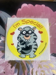 Vintage SmileMakers Raccoon Sticker I’m Special Module 2.5” Inches
