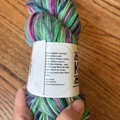 Koigu Yarn Jasmine 100% Merino Wool Multicolor Skein Green Pink DK Light Worsted