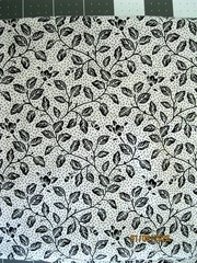 White background with black leaves