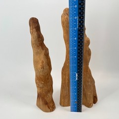 Set of 2 Genuine Cypress Tree Knee Sculptures – Unfinished – 13″ MCM