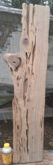 1 1/2″ THICK Louisiana Pecky Sinker Cypress Craft Wood Plank Shelf Returns OK!