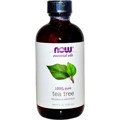Tea Tree Oil (100% Pure), 4 oz – NOW Foods Essential Oils