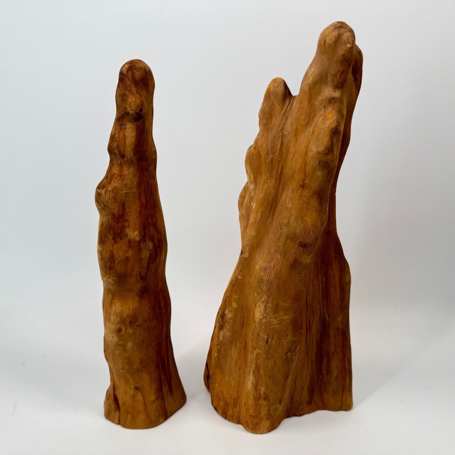 Set of 2 Genuine Cypress Tree Knee Sculptures – Unfinished – 13″ MCM