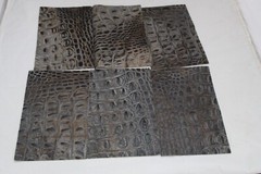 Beautiful TITAN CROC Print Gray and Black Croc Print 5″ x 8″ P6