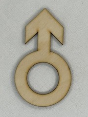 Custom Laser Cut Unfinished Male Gender Sign Symbol Shape Wood Craft Cutout