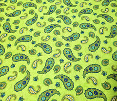Cypress BTY Kensington Studios Quilting Treasures Green Blue Paisley Lime