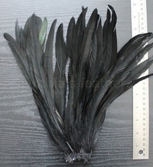 25 pcs 10-12″ long Midnight Black Dyed Rooster COQUE tail Feathers for crafting
