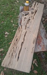 1 1/2″ THICK Louisiana Pecky Sinker Cypress Craft Wood Plank Shelf Returns OK!