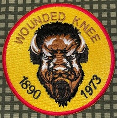 AIM American Indian Movement Wounded Knee 1890-1973 Buffalo Patch Repro New A79