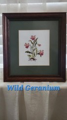 Framed Vintage Botanical Needlework with Dark Wood Frame and Sage Mat Vintage
