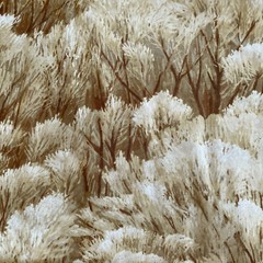 sage brush cream tan brown michael miller 2 yards