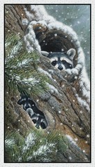 Peekaboo Racoon Fabric Panel ~ 24″ ~ Winter Forest Animals