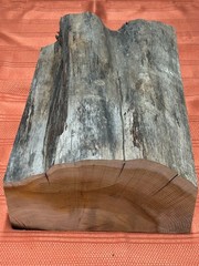Pacific Yew Wood Block 12″x 8″x 4″