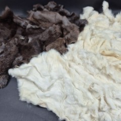 Lot of 10 Rabbit Pelts Hides Skin Crafts Fur 10”-16” White and Brown