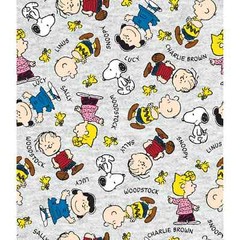 Peanuts Snoopy/Charlie Brown & MORE Fat Quarter Multi-Color 18″x21″ 100% cotton