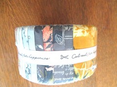 Jelly Roll 2.5 Inch Strips Boundless Fabric 100% Cotton