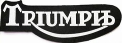 Motorcycle Est. 13″x5.5″ Iron On or Sew On High Quality Patch Collectible