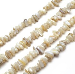 Shell Chip Beads 32” Strand 5~8mm Jewelry Making Bulk Trochus Gemstone