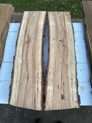Pecan Wood Live Edge Slabs