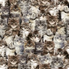 One of a Kind Fabric – Digital Printed Packed Cats – Windham YARD