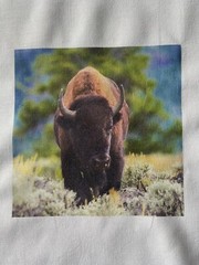 1 SMALL Buffalo 10”x10” QUILT BLOCK SQUARE FABRIC KID Adult Brown Bison #6