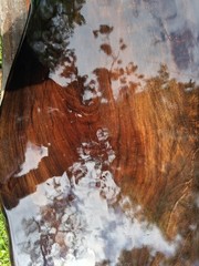Last One! 2800 Year Old Carbon Dated Sofa Table Desk Sinker Cypress Wood TopOnly