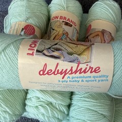Vintage Lion Brand Debyshire Baby Sport Yarn 8 Skein Light Green 156