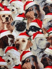 Fabric – Rare Dogs Breeds in Santa Hats Patty Reed Washed Cotton 21” x 44” wide