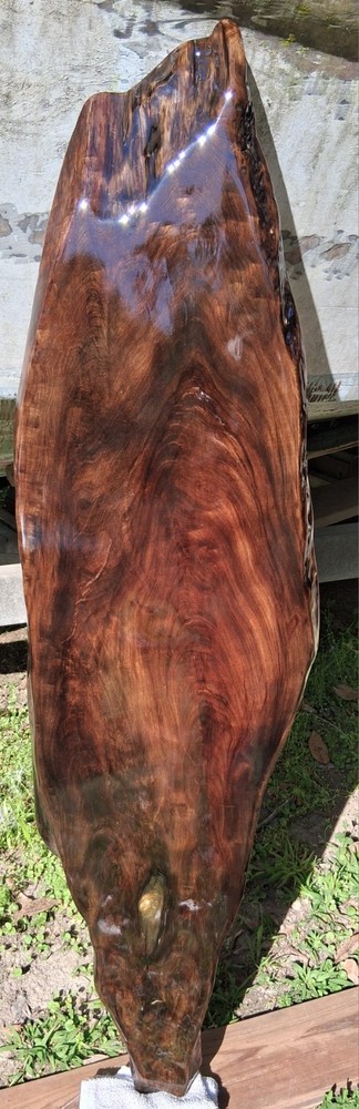 Last One! 2800 Year Old Carbon Dated Sofa Table Desk Sinker Cypress Wood TopOnly